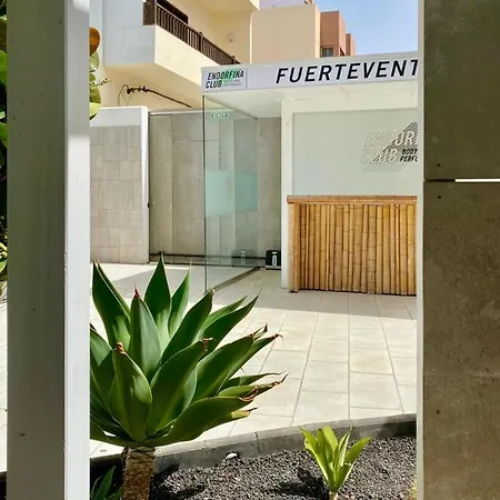 Casa Perla - Cozy Pool Side Corralejo