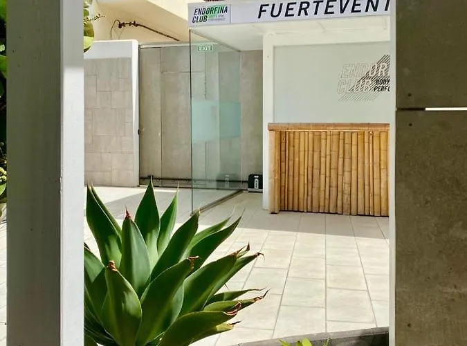 Casa Perla - Cozy Pool Side Corralejo